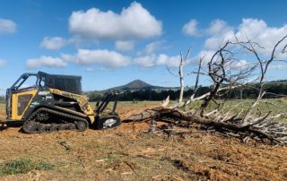 Forestry Mulching Services