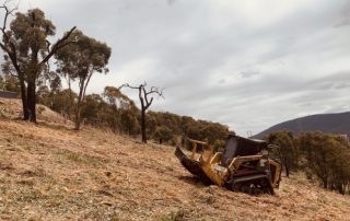 Forestry Mulching