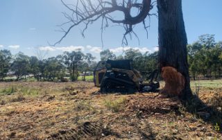 Forestry Mulching Melbourne
